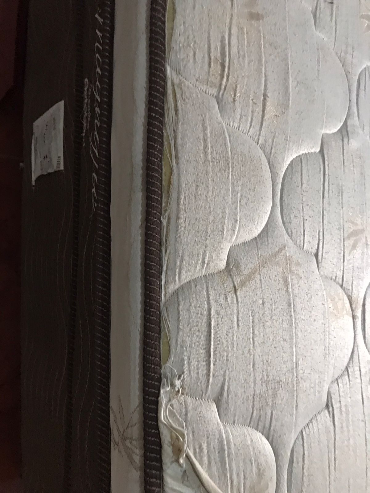 WhatsApp Image 2022-01-30 at 16.49.57.jpeg