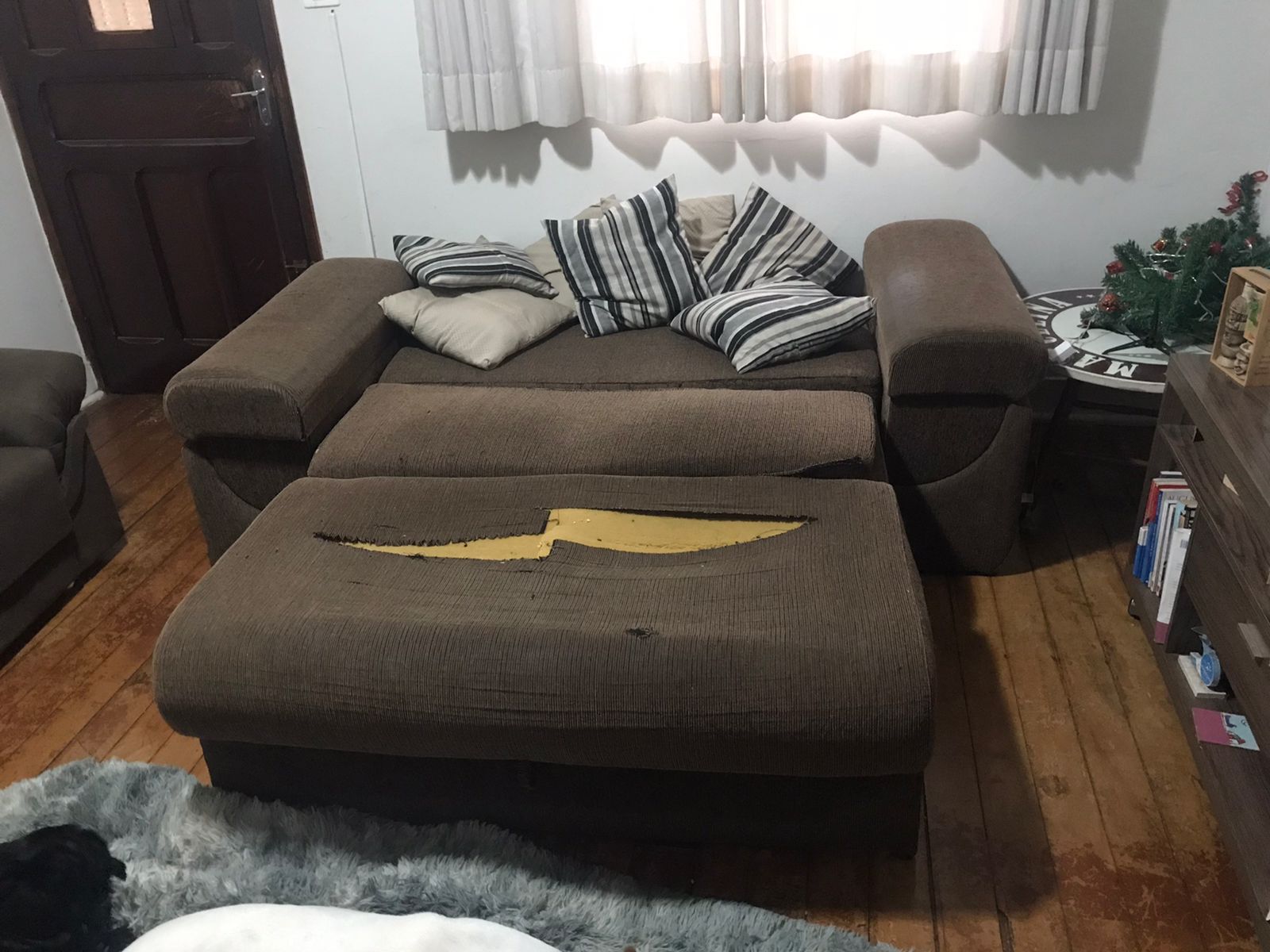 62f2b9f2-41d0-4f80-aace-612eaae346bc.jfif